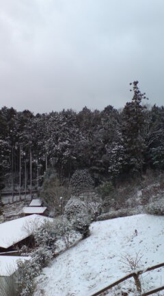 雪の中・・・・