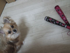 ホークス１戦目♪勝ち