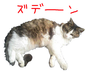 ビフォーアフター