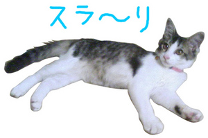 ビフォーアフター