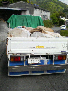    茶摘み中！