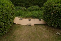 昨日見た風景は穴場スポットだったっぽい