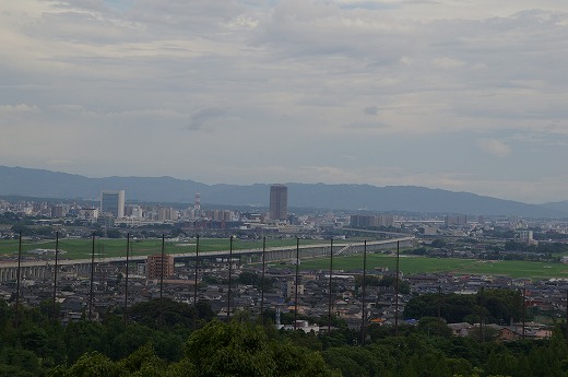 昨日見た風景は穴場スポットだったっぽい