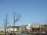 昨日のラジオで。