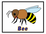洗濯物の蜂にご用心－生き物雑感
