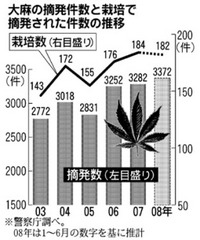 広がる大麻汚染－今度は早稲田大学