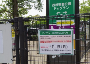 明日まで