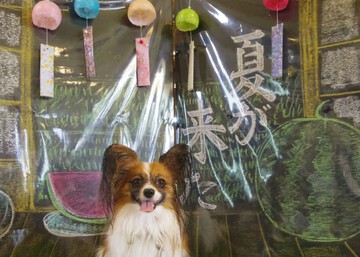 1頭で18周年