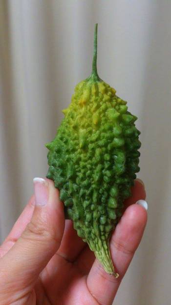 ベランダ菜園（続報）