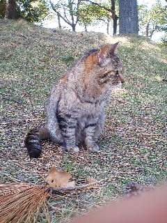 公園ランチ♪