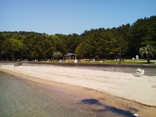 公園ランチ♪