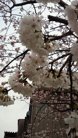 ４月なのに・・・