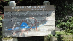 キャンプに行ってきました！
