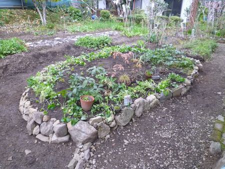 新しい庭造り２
