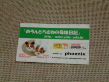phoenix名刺