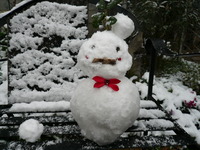 雪男と雪子