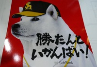 来年こそは…
