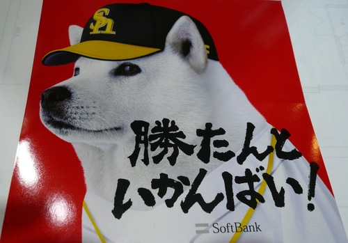 来年こそは…