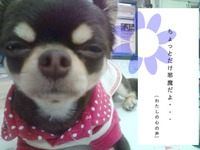 お客様と冷え性。