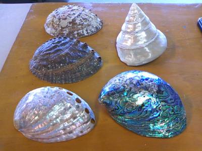 装飾工房｢瑞緒」よかよかブログ:螺鈿・貝殻を並べると・・・