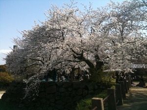 舞鶴公園