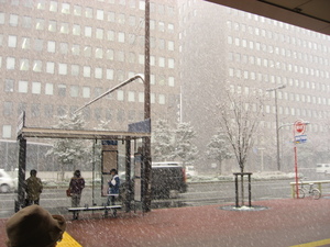 雪景色