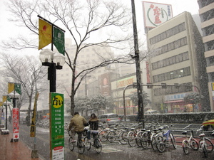 サンセルコ付近