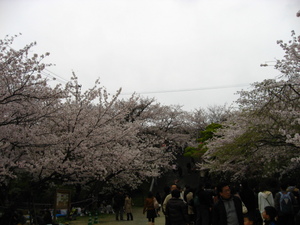 西公園