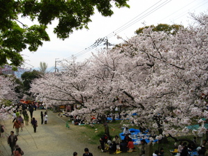 西公園高台より