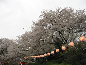 舞鶴公園