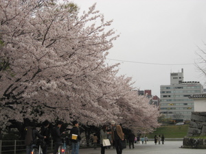 舞鶴公園