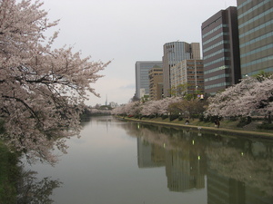 福岡タワーが見えるんだよ～