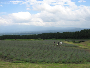 ７月１日日帰り旅行☆