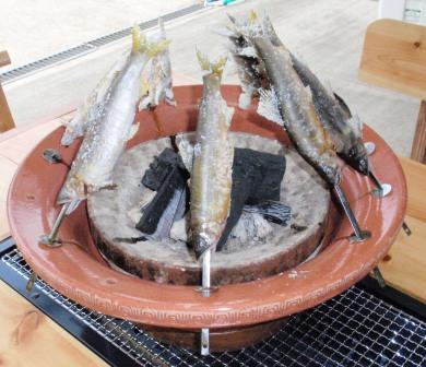 きた～・・・・