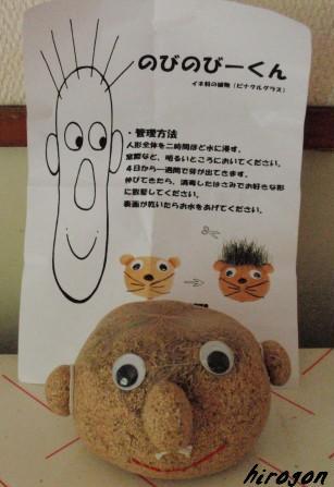 我が家にも　やってきました♪