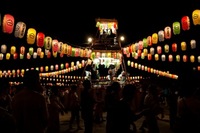 真夜中に待ち侘びる子供
