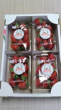 Strawberries （イチゴ）