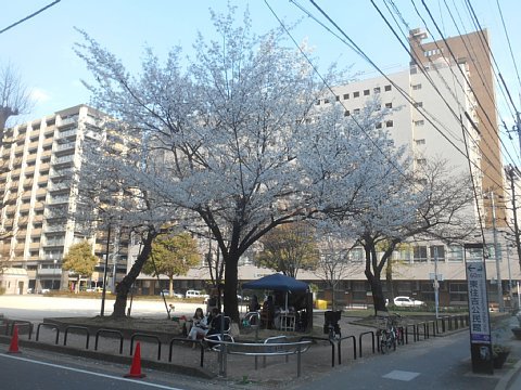 2016年3月26日ダイヤ改正人参公園博多消防署前バス停跡