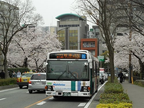 大手門平和台陸上競技場入口　舞鶴公園の桜2016