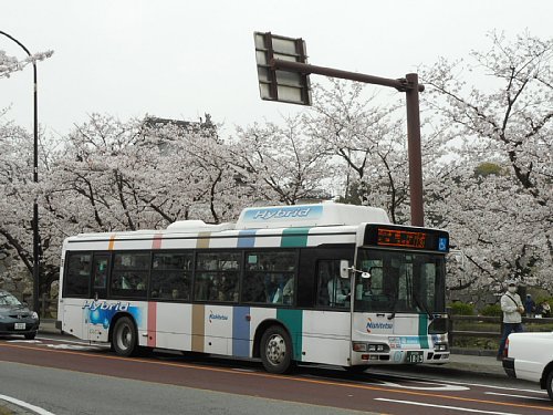 大手門平和台陸上競技場入口　舞鶴公園の桜2016