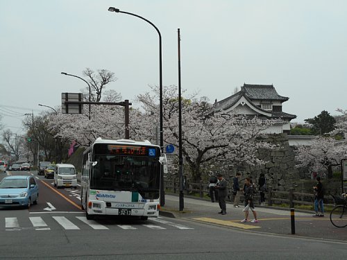 大手門平和台陸上競技場入口　舞鶴公園の桜2016