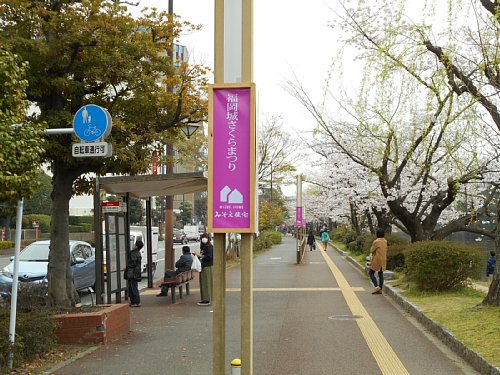 大手門平和台陸上競技場入口　舞鶴公園の桜2016