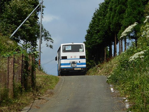 市野尾