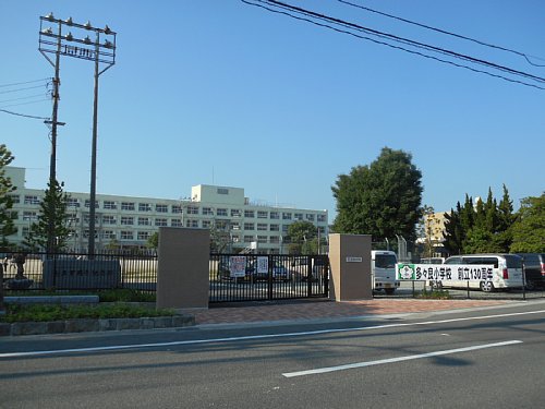 多々良小学校の川沿いに