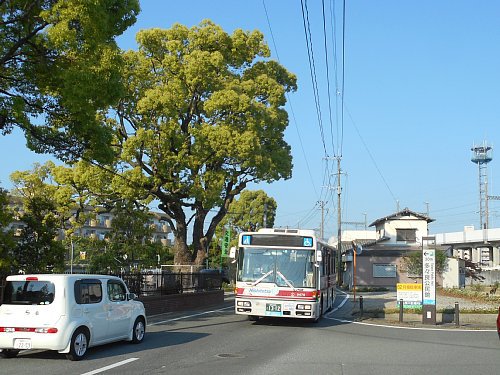 多々良小学校の川沿いに