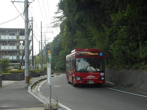 蒲田団地の夏休み