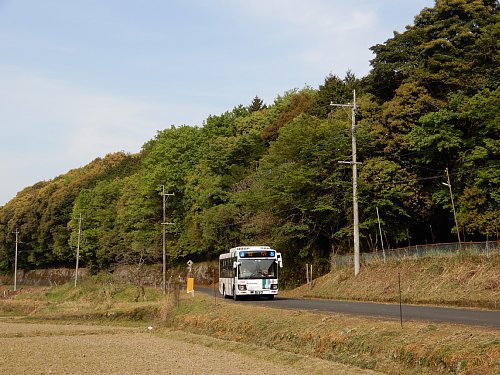 米山