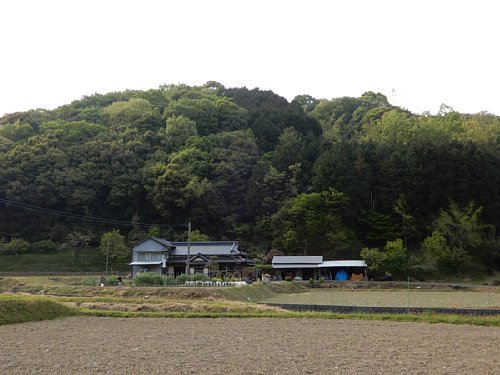 米山