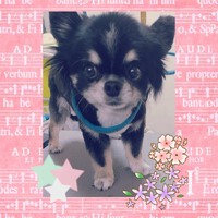 ご来店のお客様
