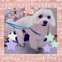 ご来店のお客様